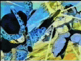 dragonball_011.jpg