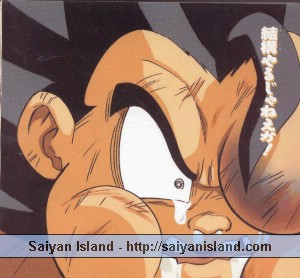 dragonball_011.jpg